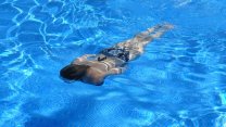 Yüzmenin faydaları nelerdir? Yüzerken dikkat edilmesi gerekenler nelerdir?