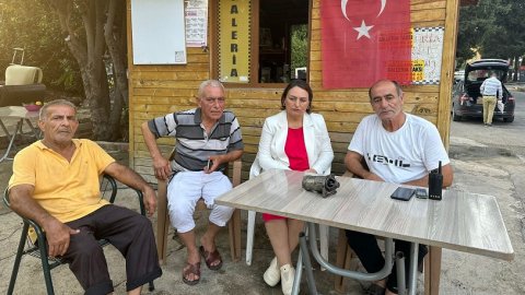 CHP'li Müzeyyen Şevkin: Sarayın günlük masrafı 18 milyon lira, vatandaşa tasarruf öneriliyor