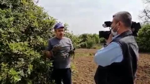 Ekrem İmamoğlu'na 'limon kumpası' davasında ceza yağdı!