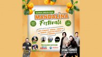 Menderes Belediyesi'nin Mandalina Festivali için geri sayım başladı