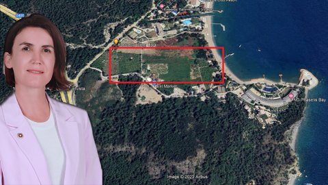 CHP'li Aliye Coşar talan edilmek istenen Beydağları Milli Parkı'nı Meclis gündemine taşıdı