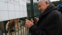 Sarıyer'de Kısırkaya Hayvan Rehabilitasyon Merkezi Kedi Bakım Ünitesi ve Sahiplendirme Alanı Açılışı'ndan kareler