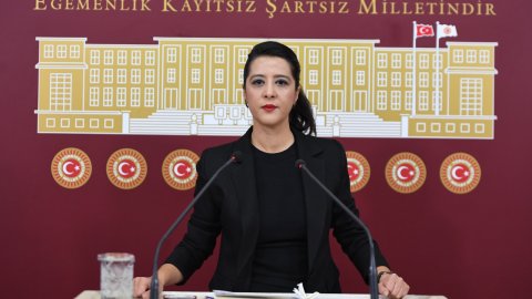 EMEP'li Sevda Karaca: Valilik yasakları fiili OHAL rejimidir