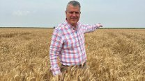 CHP'li Ayhan Barut'tan buğday taban fiyatını açıklayın çağrısı 