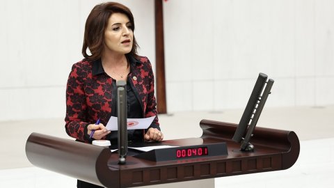 CHP'li Gülcan Kış: Çiftçiyi üreticiyi kalkındıracak önlemler alınmalı