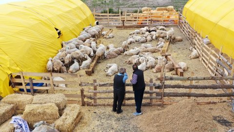 Keçiören Belediyesi'nden kurban satış alanları duyurusu