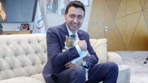 Bayraklı Belediye Başkanı İrfan Önal yaralı kediye sahip çıktı ‘sahiplenme’ çağrısı yaptı