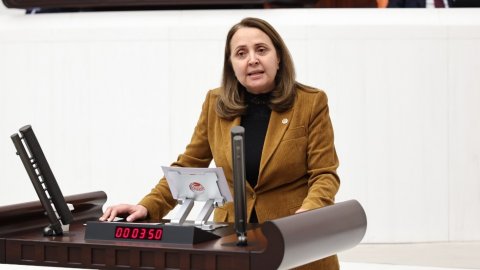 CHP'li Semra Dinçer: Böyle giderse 2050 yılında kendi ülkemizde azınlık durumuna düşeceğiz!