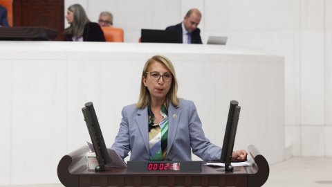 CHP'li Süreyya Öneş Derici: TBMM, Milas'taki kamulaştırma kararının bölgede yaratacağı sonuçları araştırmalıdır
