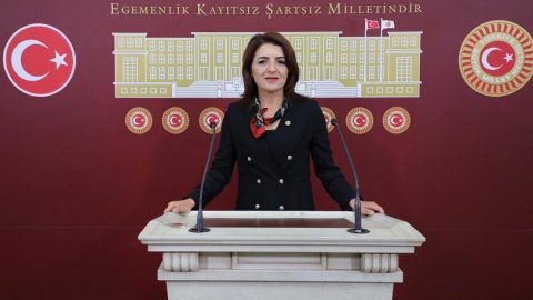 CHP'li Gülcan Kış'tan Çukurova'yı vuran don afeti nedeniyle kanun teklifi