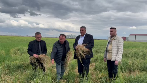 CHP'li Ömer Fethi Gürer: Zirai donun etkileri rafa Ağustos’tan sonra yansıyacak