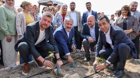Serasına saldırı düzenlenmişti! Buca Belediyesi yeni fideleri toprakla buluşturdu