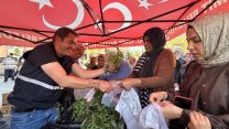 İzmit Belediyesi'nden halka fide desteği