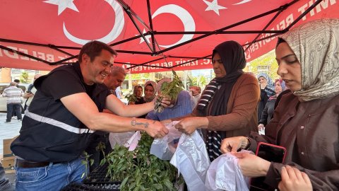 İzmit Belediyesi'nden halka fide desteği