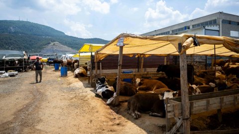 Bornova Belediyesi'nin Kurban Pazarı kapılarını açtı 