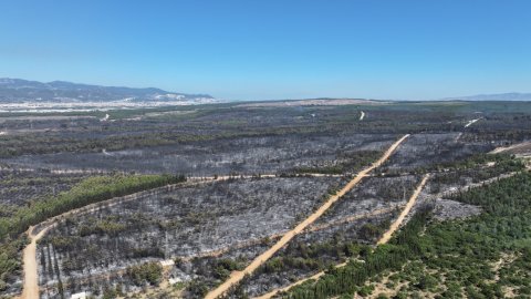 İzmir’de bir ayda 26 bin 260 hektar alan yandı