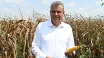 CHP'li Ayhan Barut'tan 500 bin tonluk mısır ithalatı kararına sert tepki