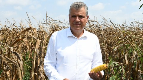 CHP'li Ayhan Barut'tan 500 bin tonluk mısır ithalatı kararına sert tepki