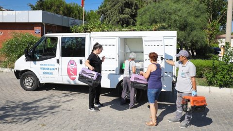 Narlıdere Belediyesi'nden minik dostlar için seferberlik