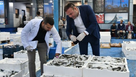 Ankara Büyükşehir Belediyesi Yenimahalle Toptancı Balık Hali’nde kontrollere başladı
