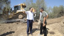 Yüreğir Belediyesi'nden sokak hayvanlarına yönelik dev yatırım