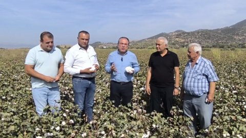 CHP'li Evrim Karakoz: Pamuk fiyatı 50 lira olmalı, destekler artmalı