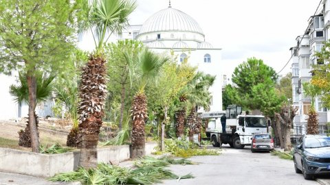 Çiğli Belediyesi'nden ağaç budama çalışması