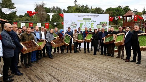 Beykoz Belediyesi’nden üreticiye 1,5 milyon fide desteği