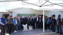 Milas Belediyesi'nden üreticilere karakılçık buğday tohumu desteği