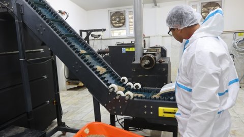 Muğla Büyükşehir Belediyesi can dostları için 42 ton mama üretti