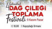 Ataşehir Belediyesi'nden Dağ Çileği Festivali