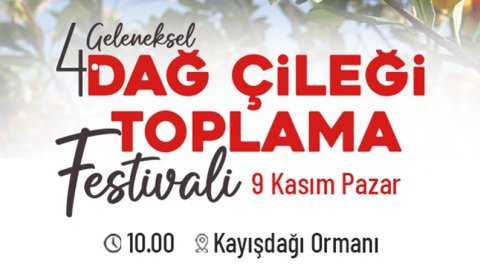 Ataşehir Belediyesi'nden Dağ Çileği Festivali