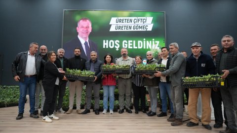 Gömeç Belediyesi’nden çiftçilere 50 bin enginar fidanı desteği