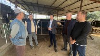 Şap hastalığı ile mücadele eden besiciler CHP'li Bekir Başevirgen'e dert yandı