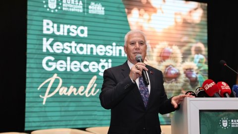 Bursa Büyükşehir Belediyesi'nden Bursa kestanesine destek