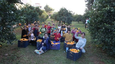 Kepez Belediyesi, Dokumapark’tan toplanan portakalları ilçe halkıyla paylaştı