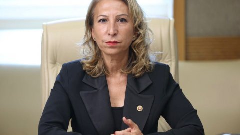 CHP'li Süreyya Öneş Derici: Akyaka Orman Kampı doğal sit alanıdır, korunmak zorundadır