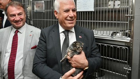 Bursa Büyükşehir Belediyesi 2025 yılında 50 bin can dostun yanında oldu