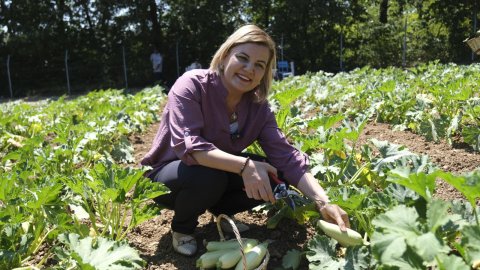 İzmit Belediyesi'nden 37,5 tonluk dev hasat