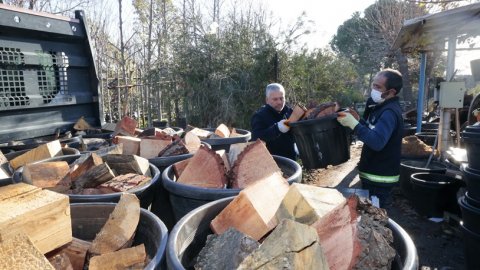 Konak Belediyesi budanan ağaçları yakacak olarak 250 aileye ulaştırdı