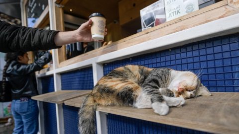 İzmirli Kahve’den bir milyon bardaklık rekor