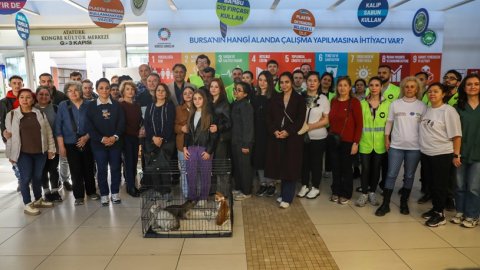 Bursa Büyükşehir Belediyesi'nden 2. Kedi Yuvalandırma Etkinliği