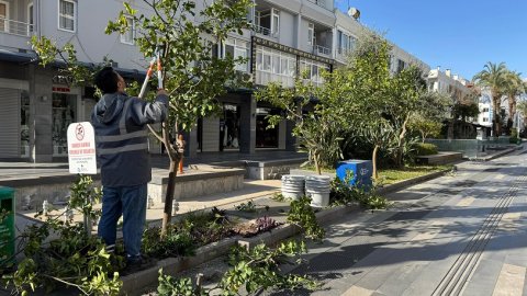 Antalya Büyükşehir Belediyesi'nden Kemer’de peyzaj düzenlemesi