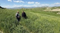 Manisa Büyükşehir Belediyesi’nin toprakla buluşan tohumları yeşerdi