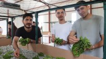 KOÜ öğrencileri İpekböceği Kozaevi’nde  üretim sürecini yerinde inceledi