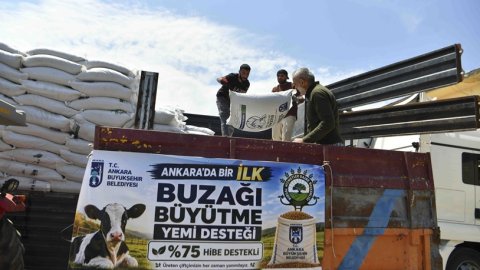 Ankara Büyükşehir Belediyesi'nden üreticilere yüzde 75 hibeli yem desteği