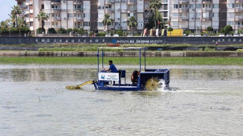 Antalya Büyükşehir'den Boğaçayı’nda ekolojik dengeyi koruyan temizlik çalışması