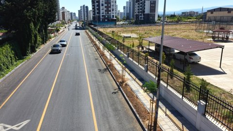 Mersin Büyükşehir Belediyesi Mezitli Gazi Paşa Caddesi’ni yeşile bürüdü
