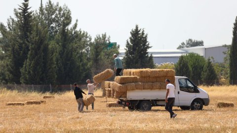 Buca Belediyesi'nden üreticiye saman desteği