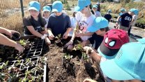 Nilüfer Belediyesi’nin Ders Arası Çocuk Öğrenme programı sürüyor